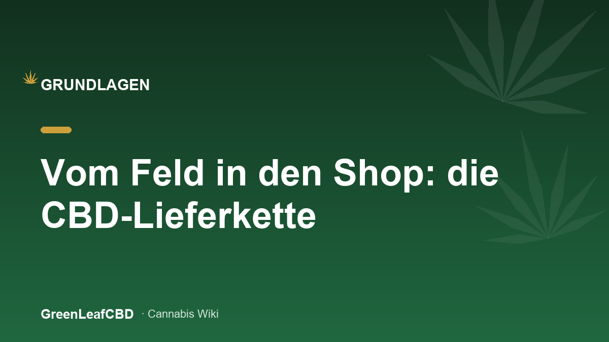 Vom Feld in den Shop: die CBD-Lieferkette - Titelbild
