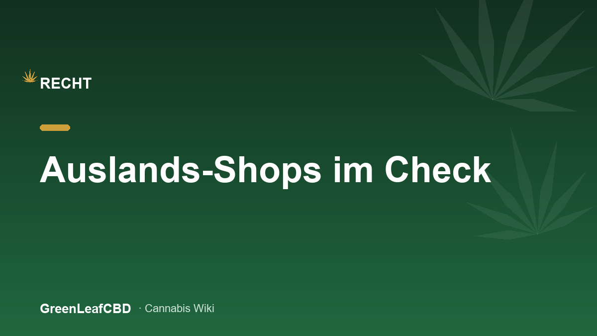 Auslands-Shops im Check: sicher bestellen - Titelbild