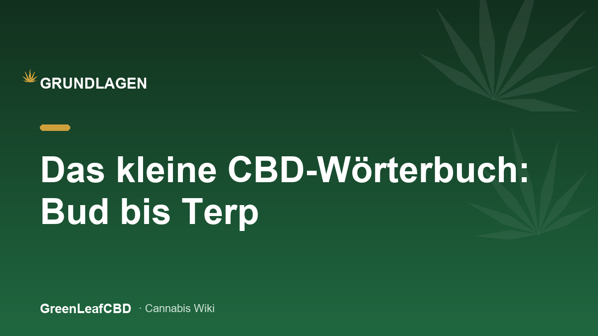 Das kleine CBD-Woerterbuch: Bud bis Terp - Titelbild