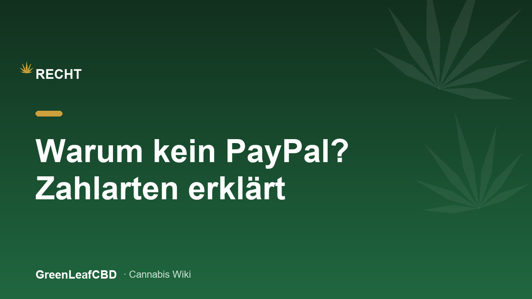 CBD Zahlungsmethoden: warum viele Shops kein PayPal anbieten koennen
