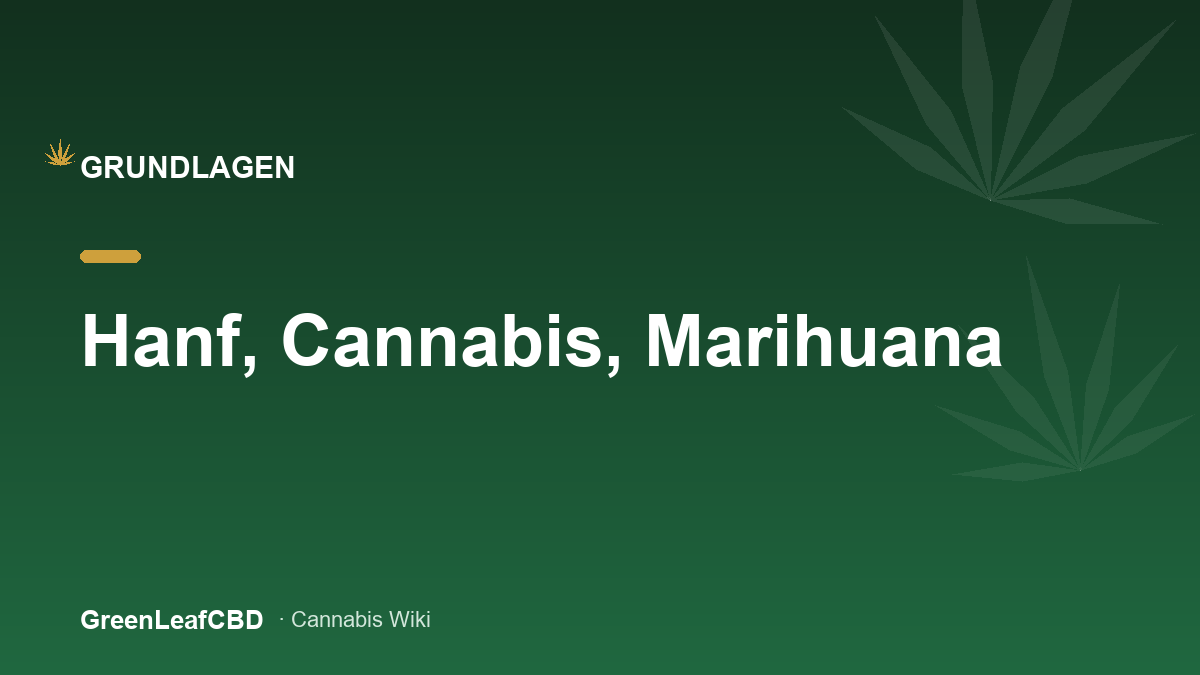 Hanf, Cannabis, Marihuana: die Begriffe - Titelbild