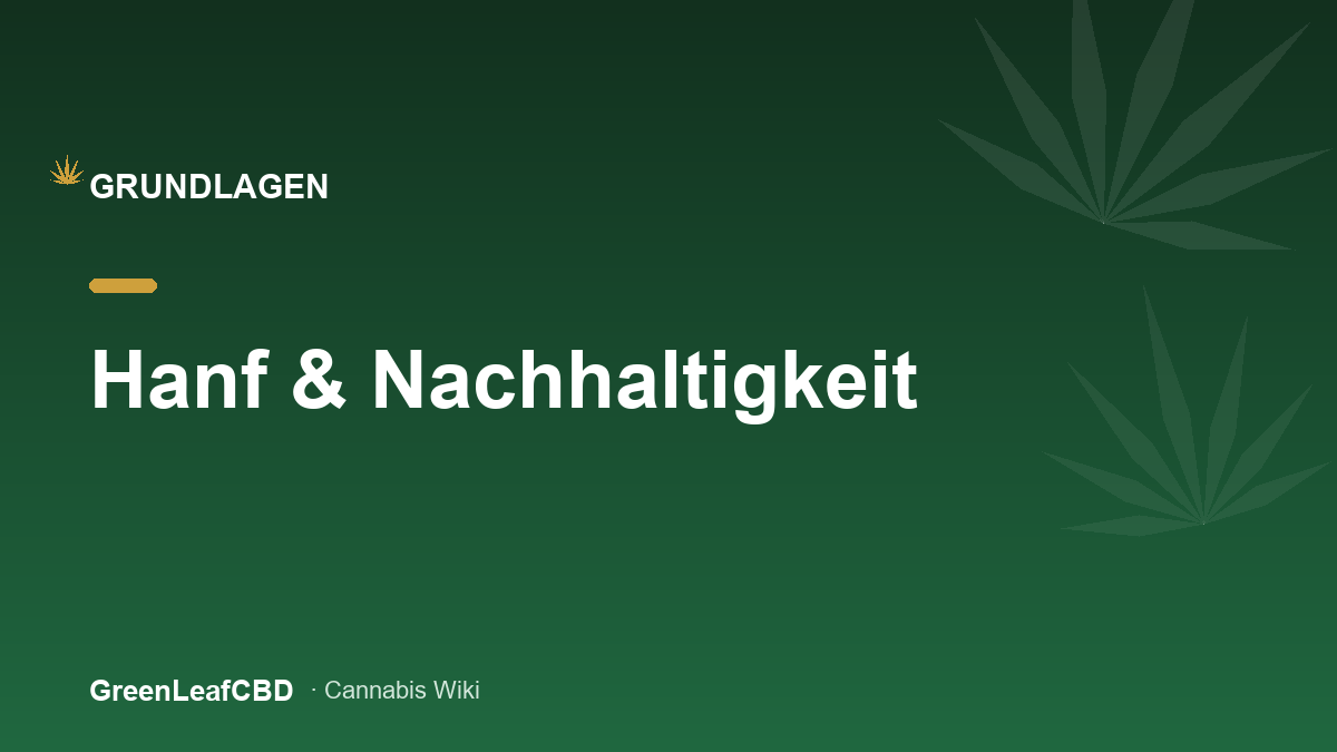 Hanf und Nachhaltigkeit: schnell wachsende, nachhaltige Kulturpflanze auf dem Feld