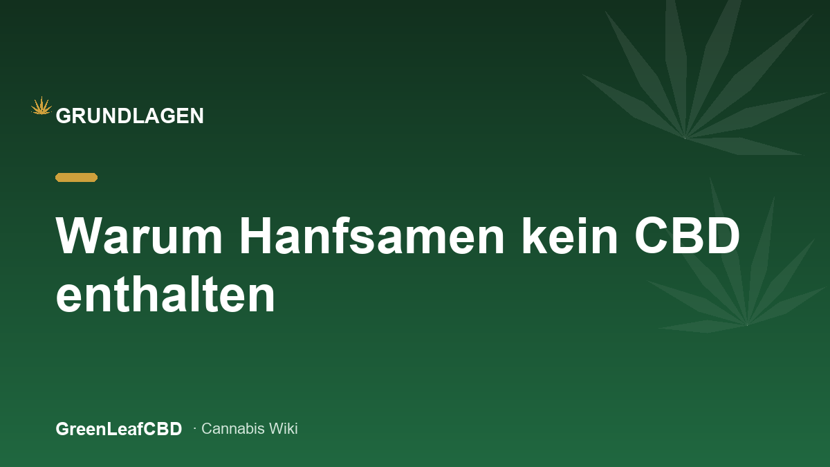 Warum Hanfsamen kein CBD enthalten - Titelbild