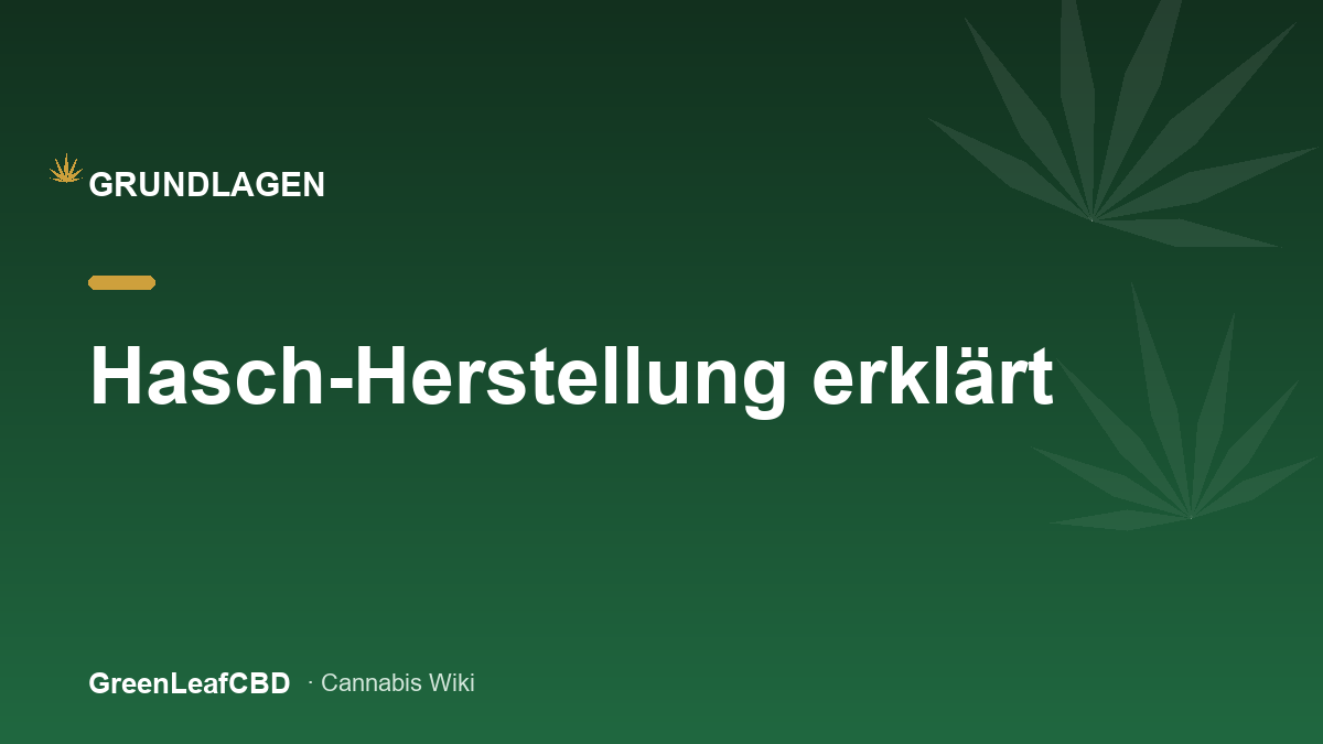 Hasch-Herstellung erklaert: Trockensieb, Handreiben und Eiswasser-Methode im Cannabis Wiki