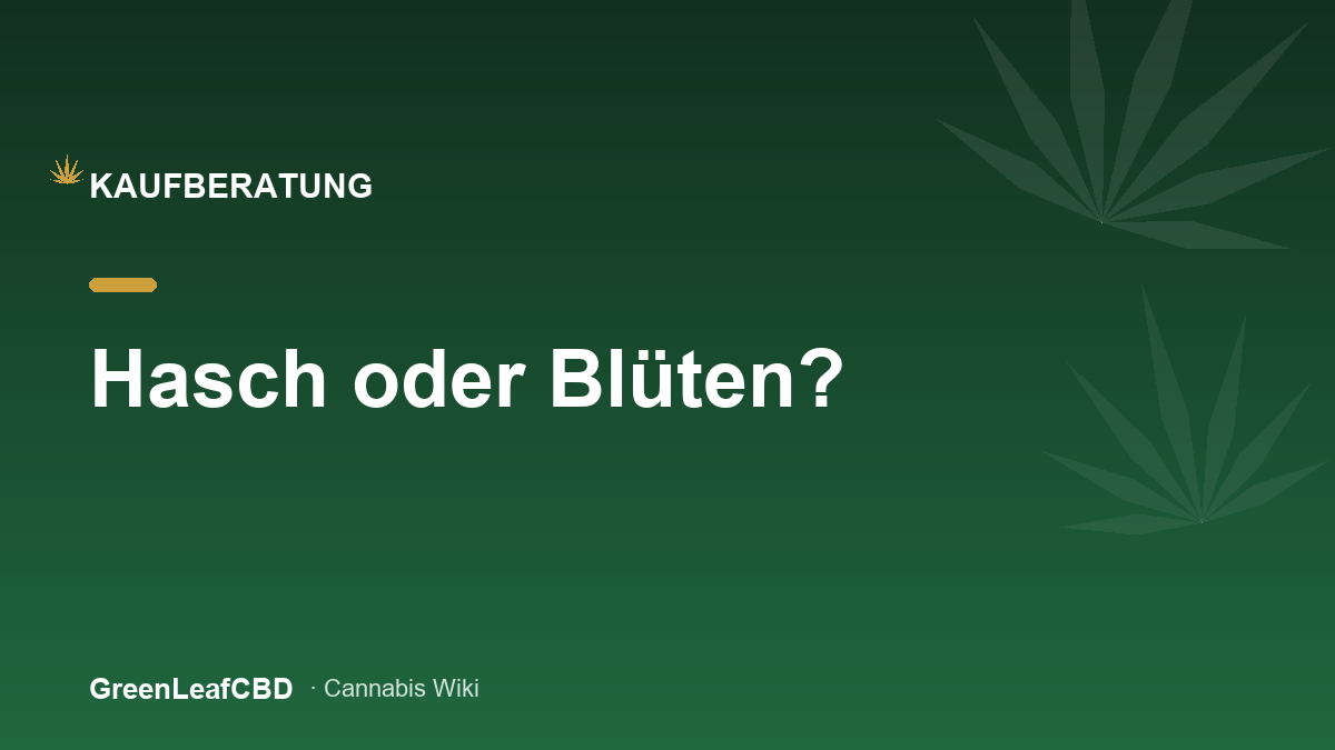 Hasch oder Blueten: der grosse Vergleich der beiden CBD-Produktwelten