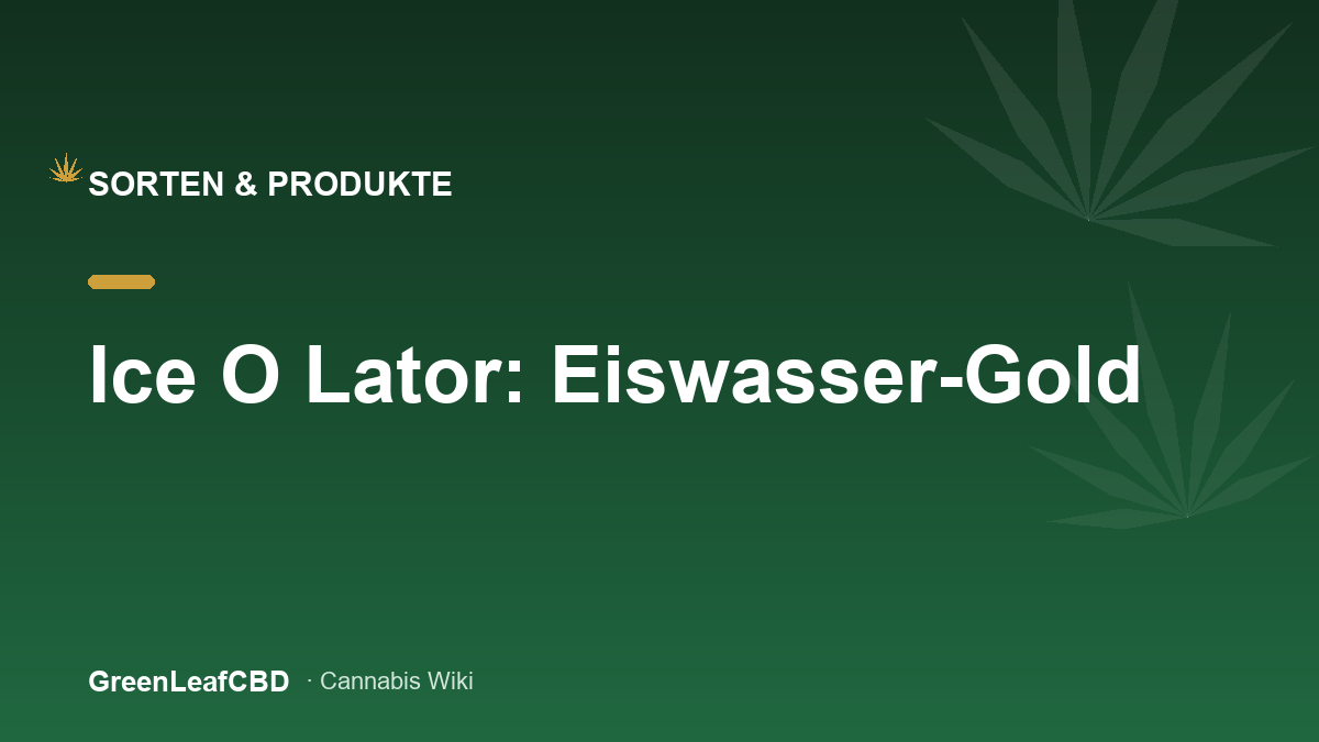 Ice O Lator im Portraet: Eiswasser-Gold - Titelbild