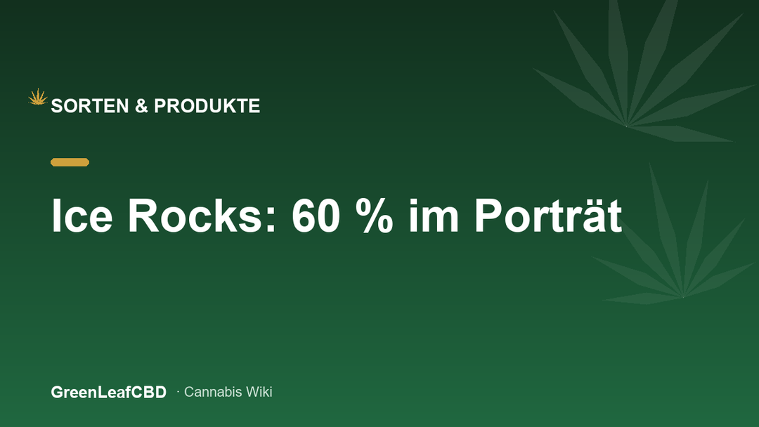 Ice Rocks: 60 Prozent CBD im Portraet - Titelbild