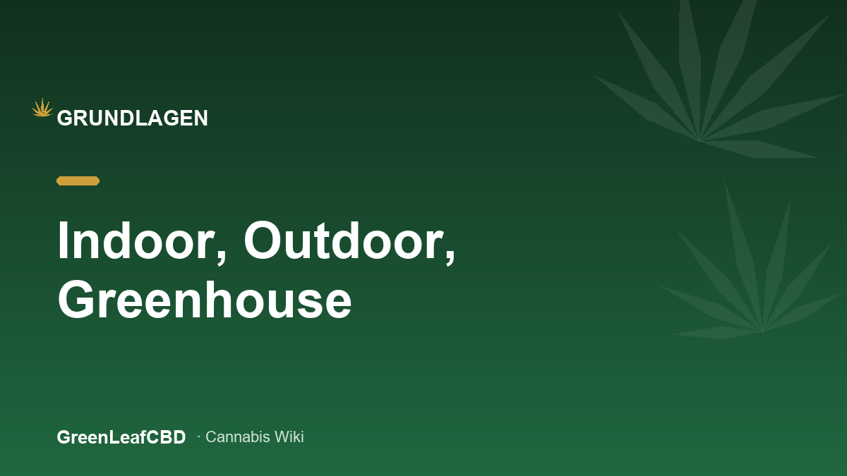 Indoor Outdoor Greenhouse: die drei Anbau-Welten fuer CBD-Blueten im Vergleich