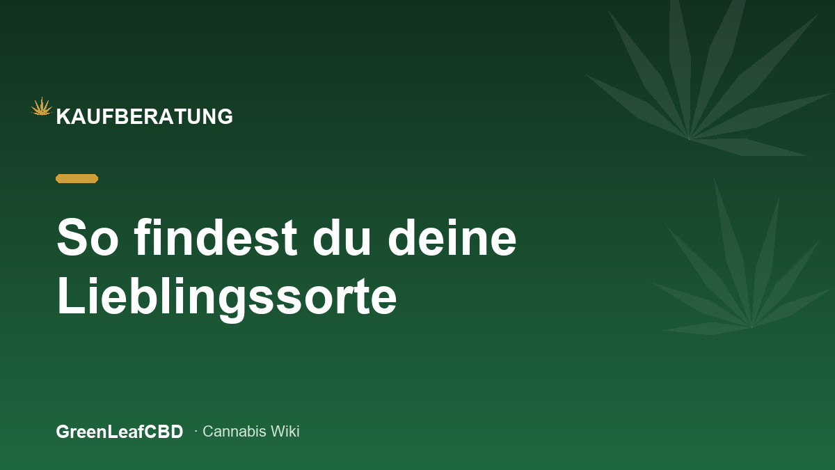 Lieblingssorte finden: verschiedene CBD Blueten zum Probieren nebeneinander