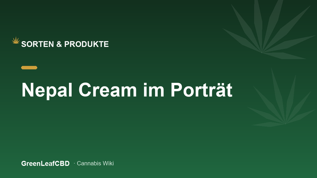 Nepal Cream im Portraet - Titelbild