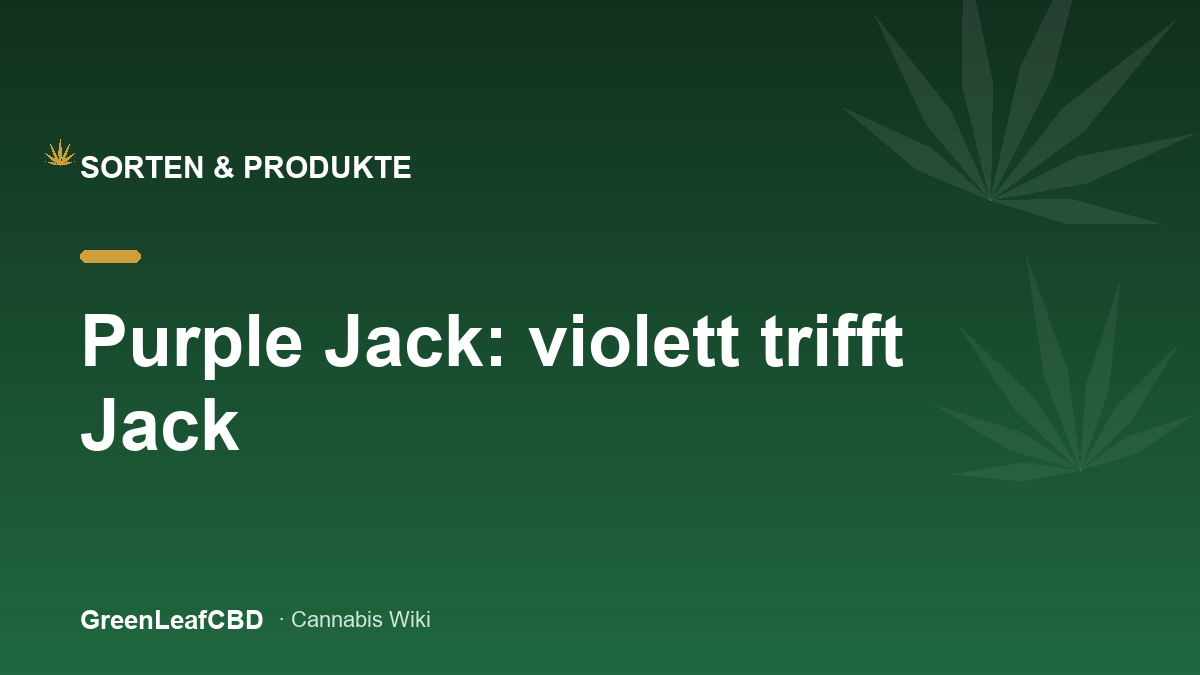Purple Jack: violett trifft Jack Herer - Titelbild