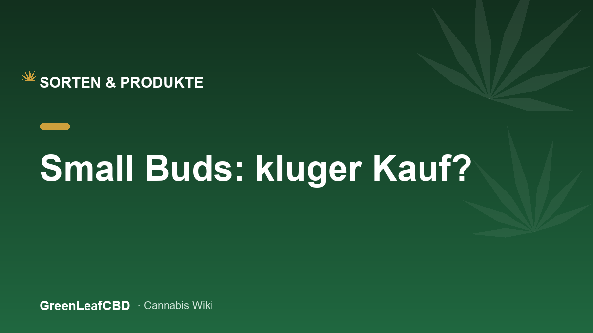 Small Buds: kleine CBD Blueten derselben Ernte zum guenstigeren Preis