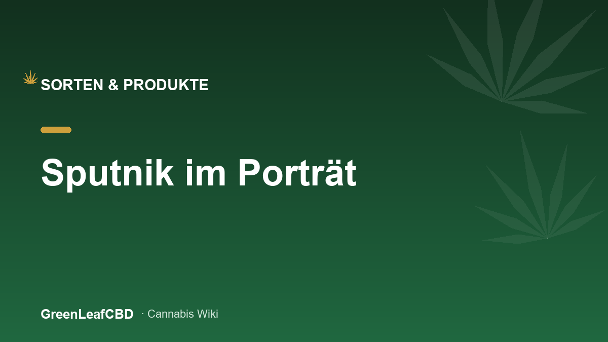 Sputnik im Portraet: der moderne Kraftprotz - Titelbild