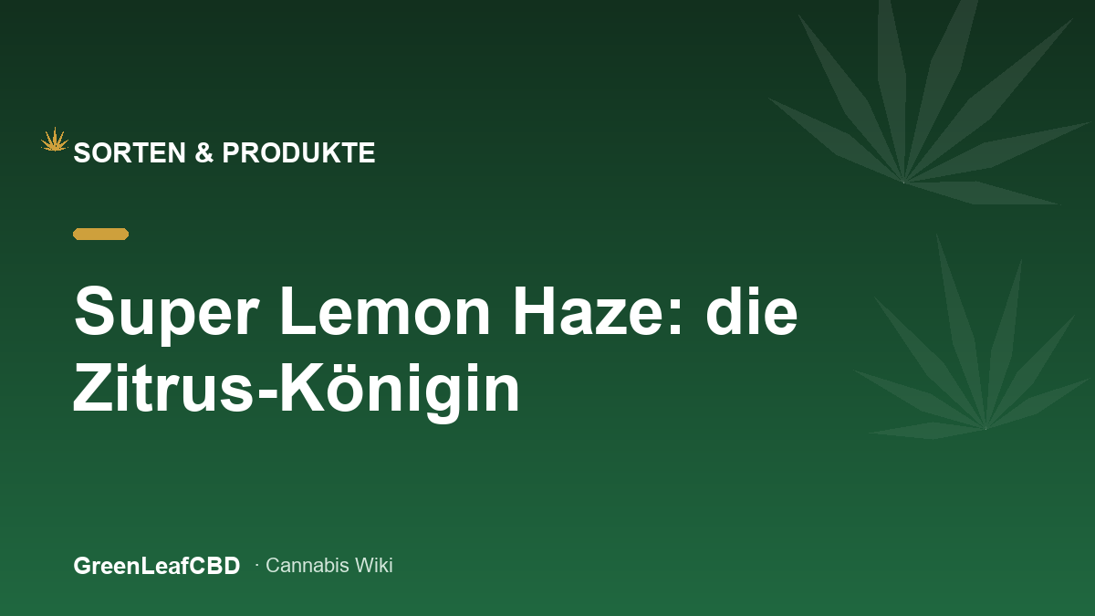 Super Lemon Haze: die Zitrus-Koenigin - Titelbild