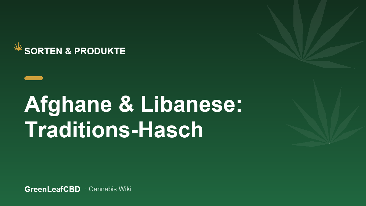 Traditionelles Hasch im Portraet: Afghane und Libanese als CBD-Interpretation