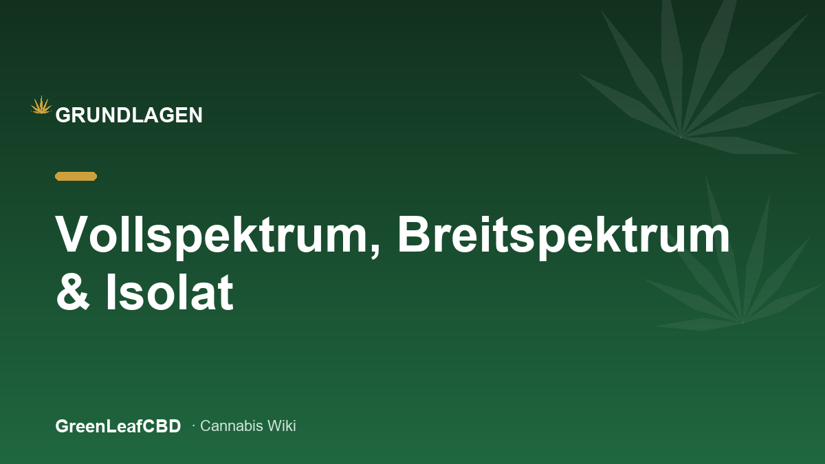 Vollspektrum, Breitspektrum und Isolat: die drei CBD-Typen im Vergleich