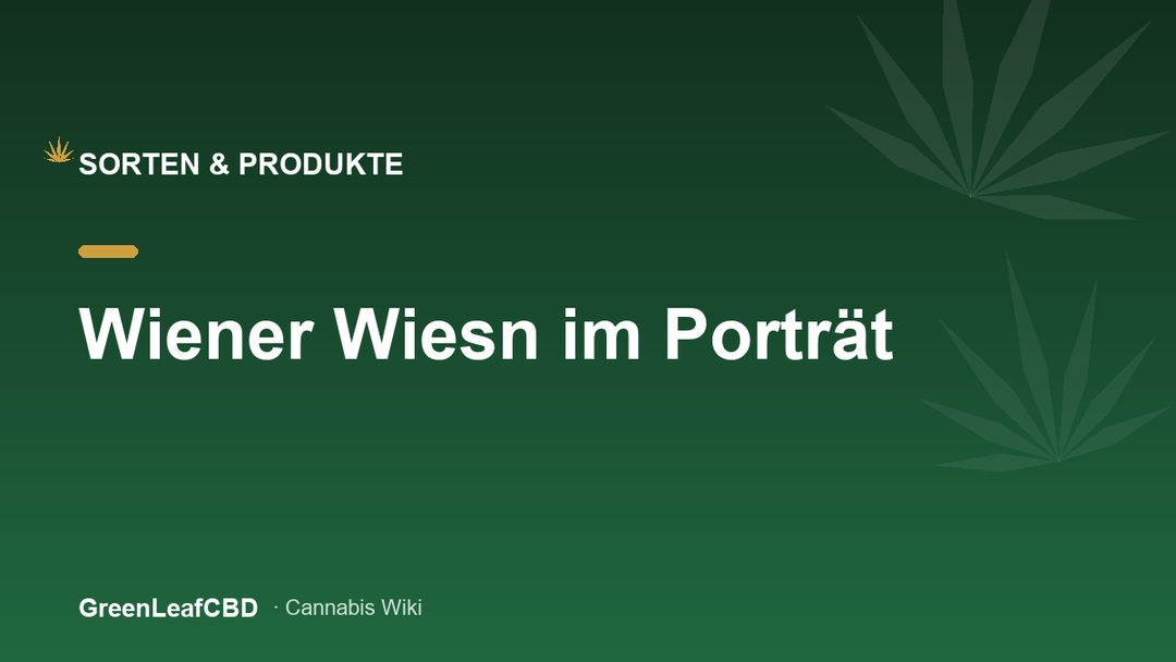 Wiener Wiesn im Portraet - Titelbild